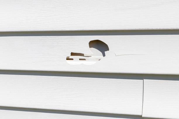 Affordable Siding Repair and Maintenance Services in Watts Mills, SC