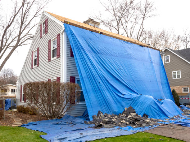 Best Stone Veneer Siding  in Watts Mills, SC