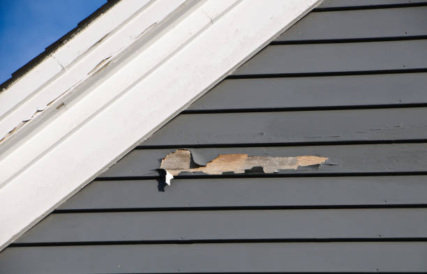 Best Vinyl Siding Installation  in Watts Mills, SC